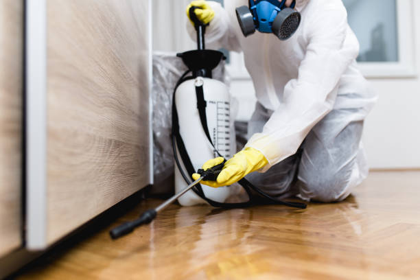 Flea Control Services in Brice Prairie, WI