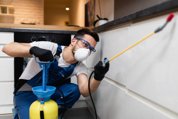 Pest Prevention Services in Brice Prairie, WI