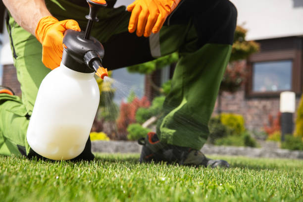 Best Emergency Pest Control  in Brice Prairie, WI