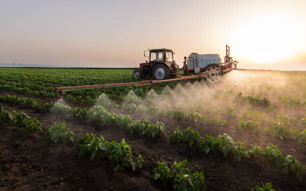 Best Pest Prevention Services  in Brice Prairie, WI