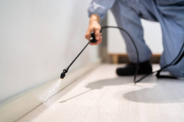 Best Flea Control Services  in Brice Prairie, WI