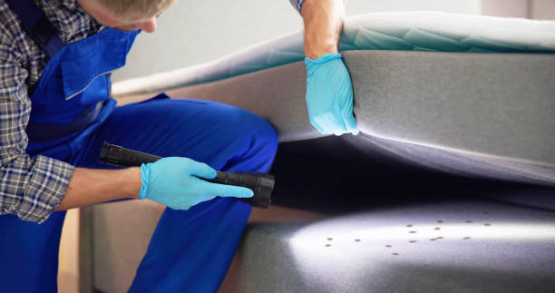 Best Flea Control Services  in Brice Prairie, WI