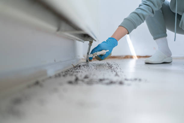 Best Pest Removal Services  in Brice Prairie, WI