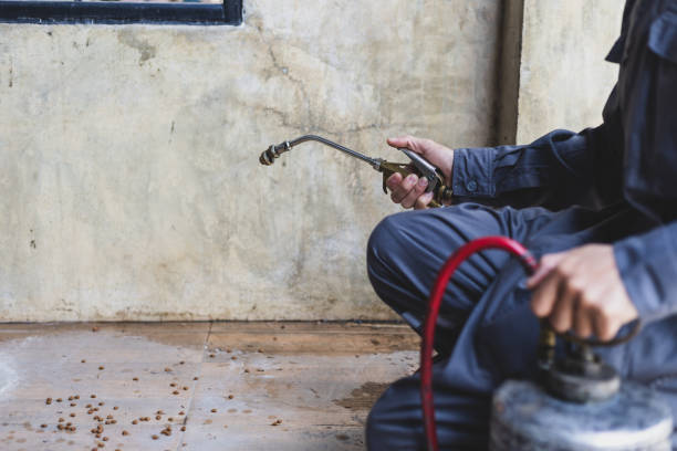 Best Residential Pest Control  in Brice Prairie, WI